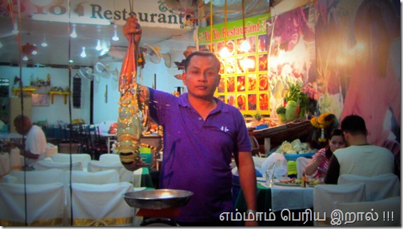 Phuket Island - Tiger Prawn